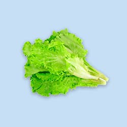 Лист салату